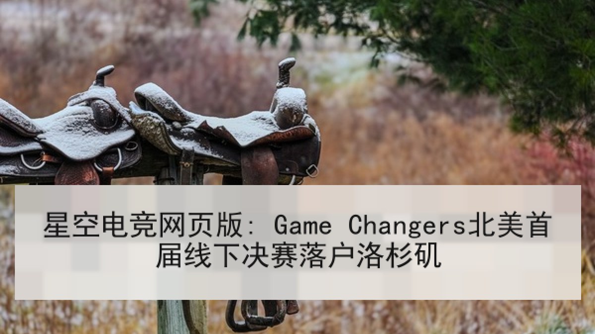 星空电竞网页版: Game Changers北美首届线下决赛落户洛杉矶